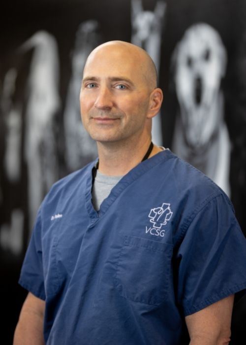 Doctor Img