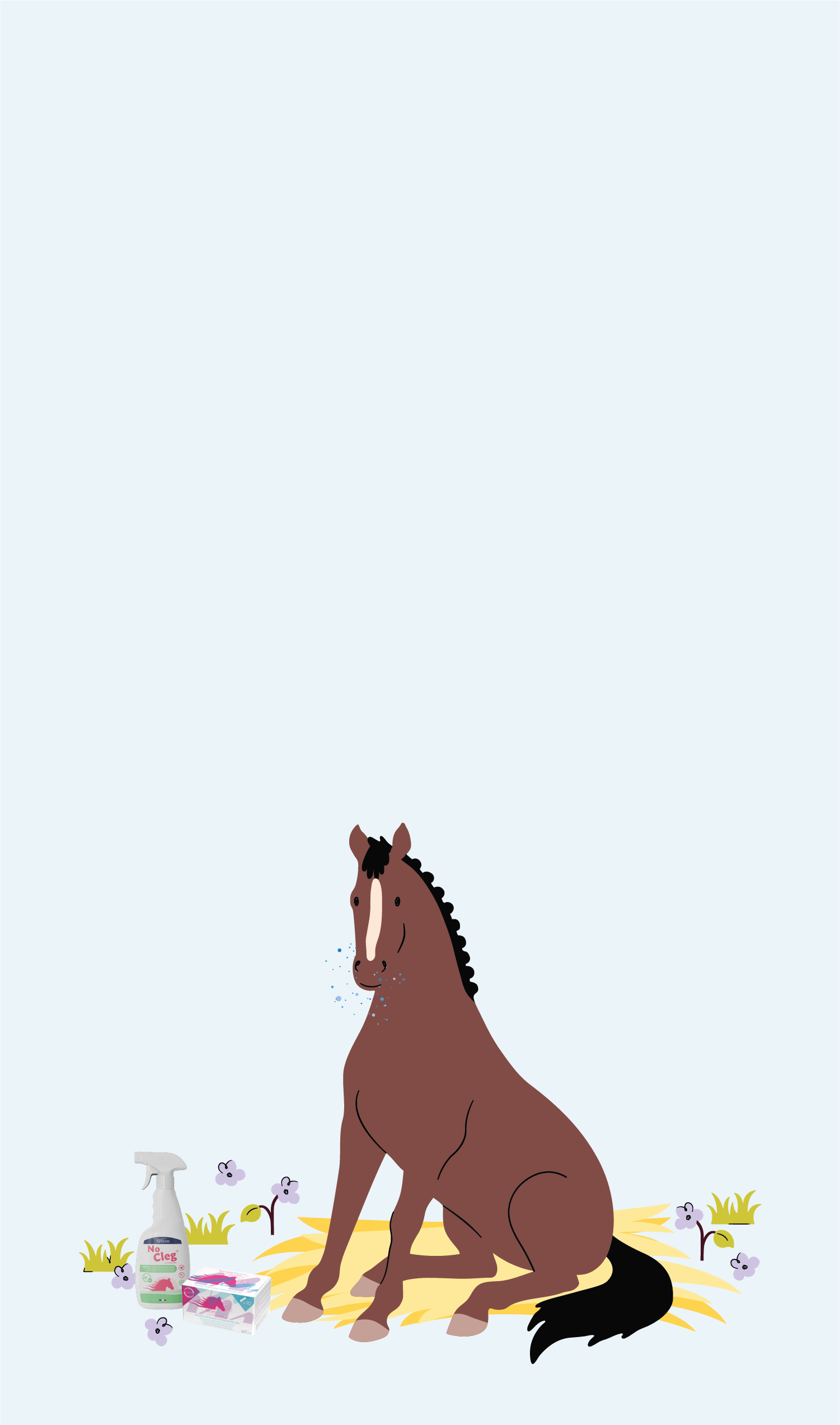 Cheval