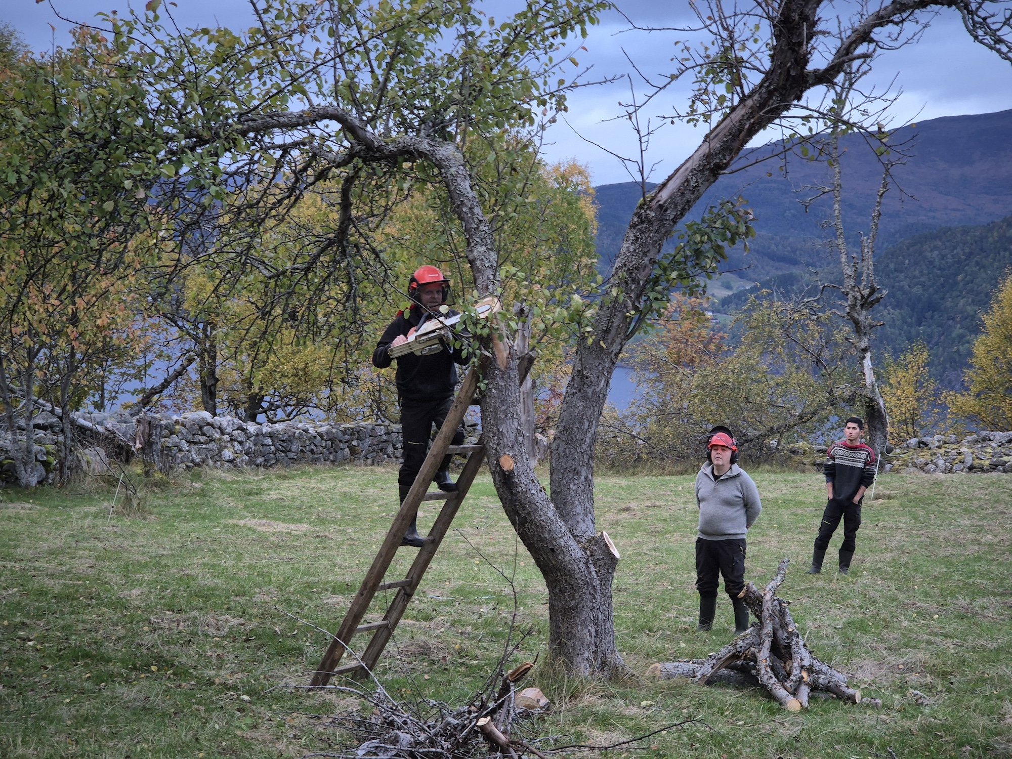 Roger Furset i stigen. Jan Hákon Vikane følger nøye med.
