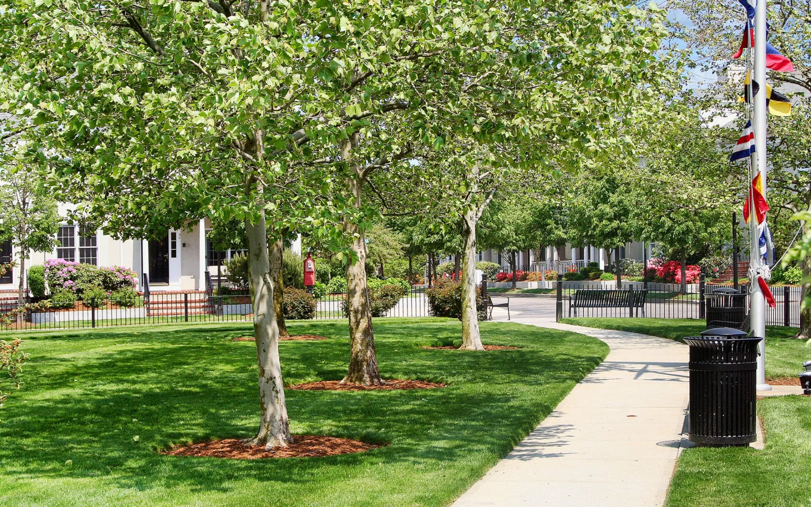 Birch-lined village green with walking paths at Chapman's Reach, Marina Bay in Quincy MA
