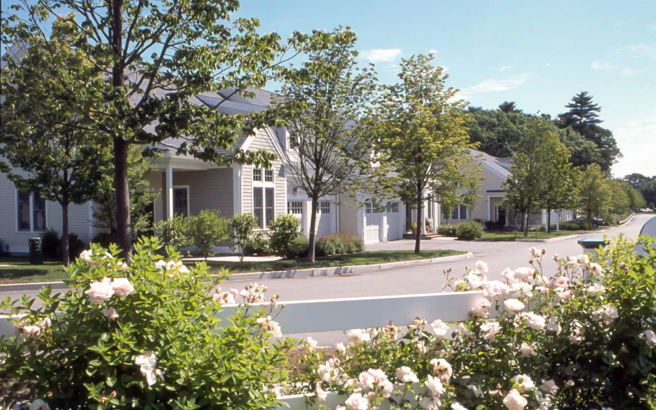 Quiet residential street with blooming roses at GreatBrook by Thorndike Development Norton MA
