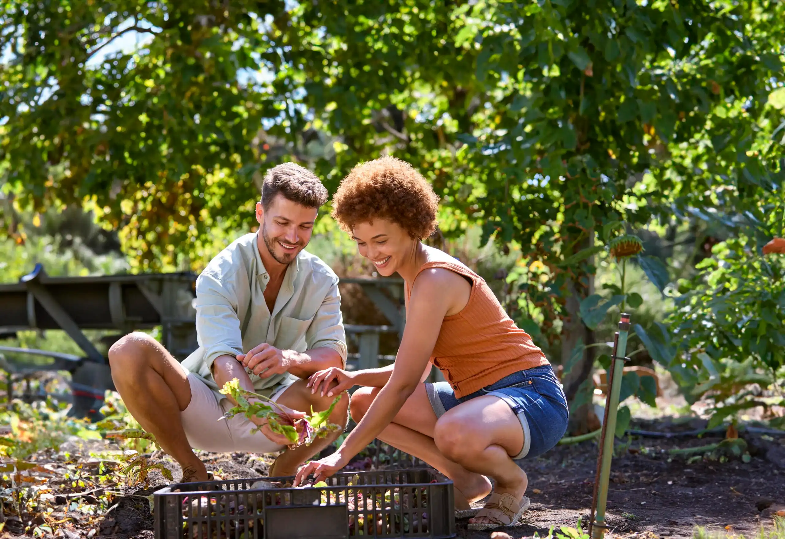 Community gardens at Alden's Reach in Plymouth MA