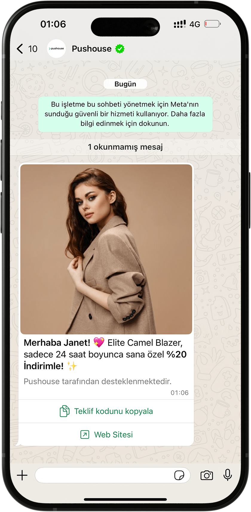 whatsapp bulk message