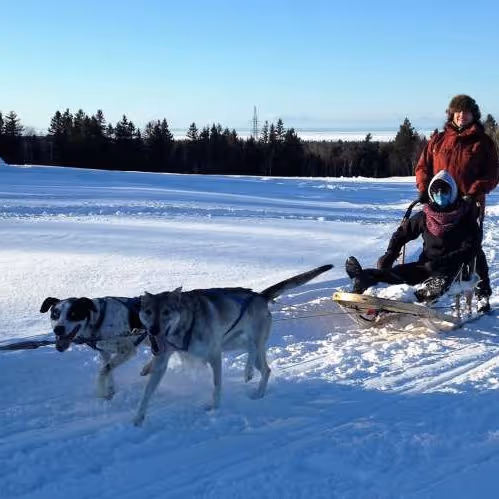 Aventure Pattes Blanches