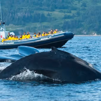 Croisières Baie de Gaspé