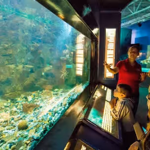 Exploramer Excursions