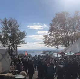 Festival La Virée Trad