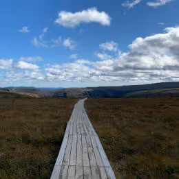 Mont Albert - Gaspésie-Nationalpark