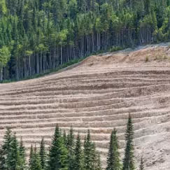 Achatmine am Mount Lyall