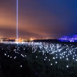 Nova Lumina - 海上夜游