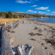 Strand von Penouille