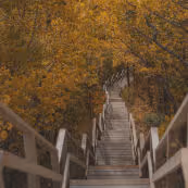 Hiking trails of Mont-Saint-Pierre