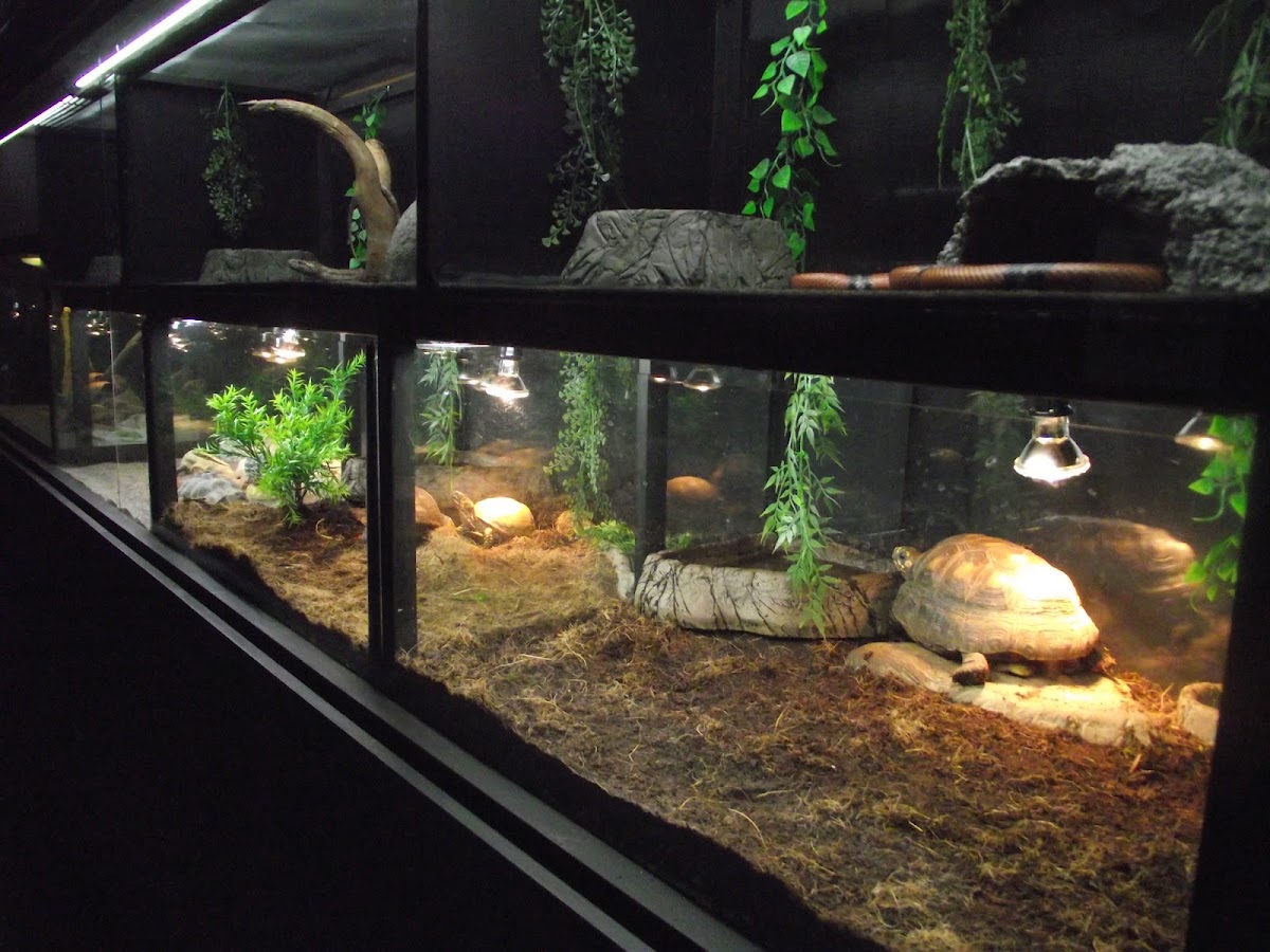 Centre de découvertes Zoom Nature Desjardins