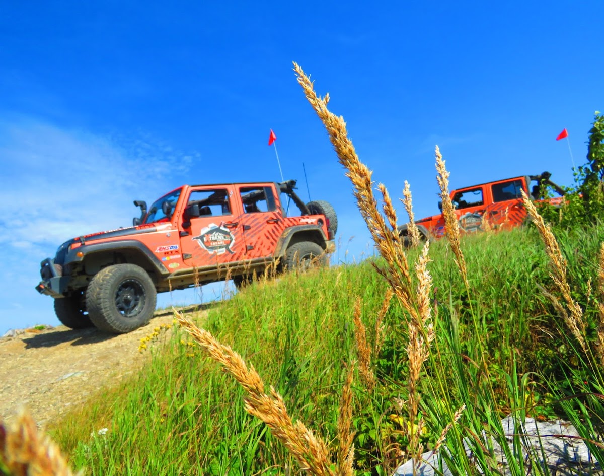 Extrême Chic-Chocs - Safari