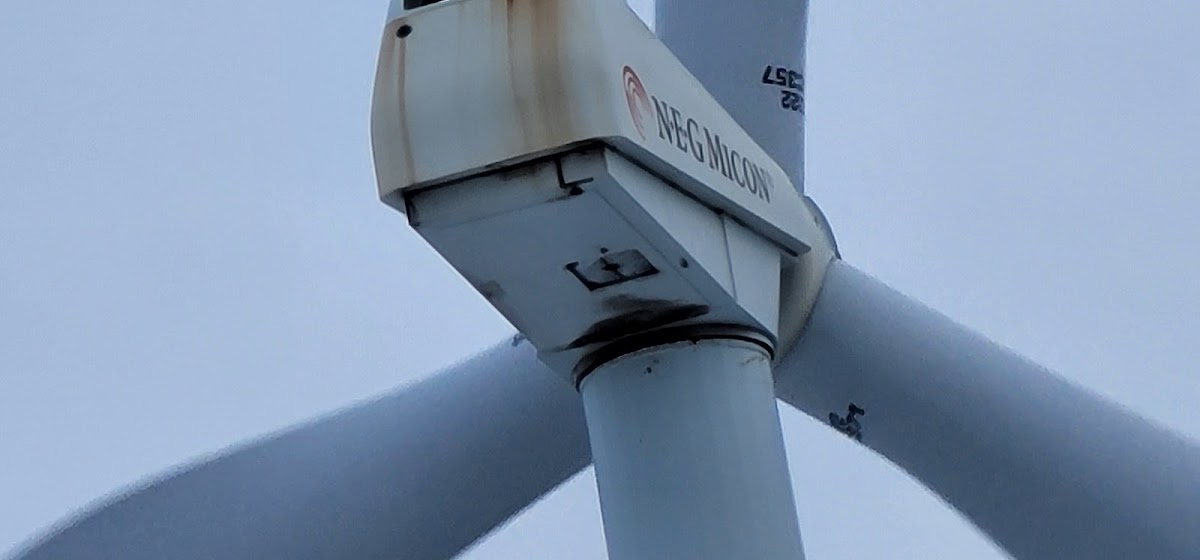 Festival Éole en musique