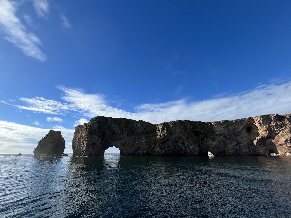 Les Bateliers de Percé