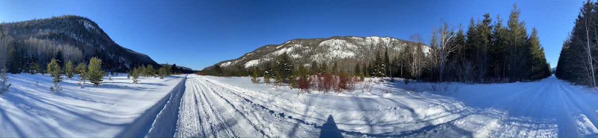 Les sentiers de la vallée des pins blancs