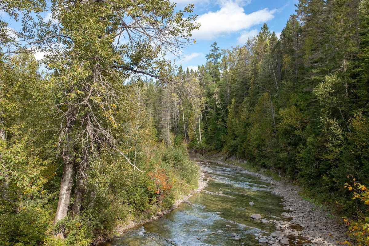 Parc régional de la rivière Mitis