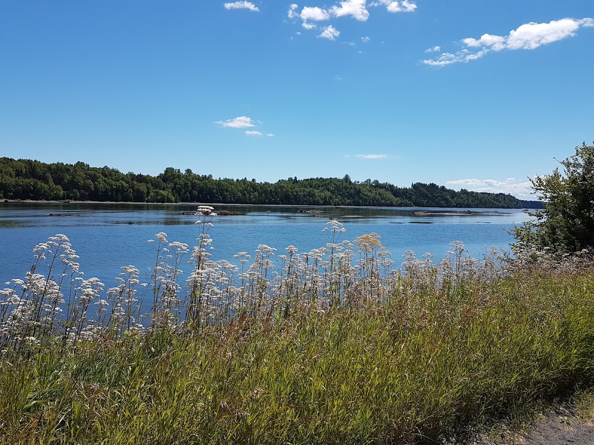 Petit Jardin de l'Abeille