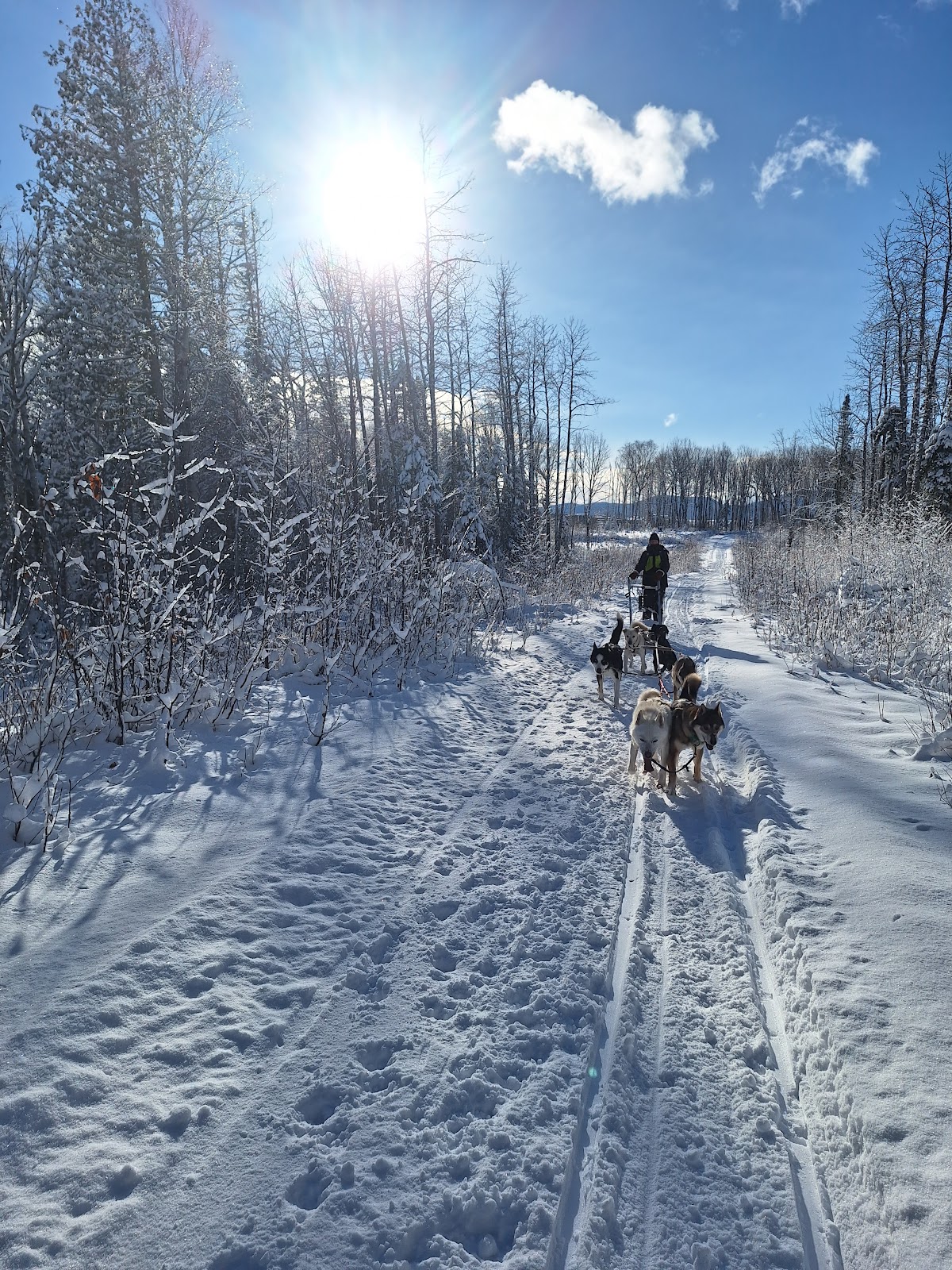 Pourvoirie Fournier Plein Air