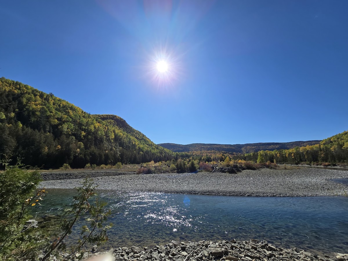 约克河和达特茅斯河ZEC和圣约翰河野生动物保护区