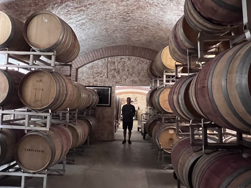 Vignoble Carpinteri