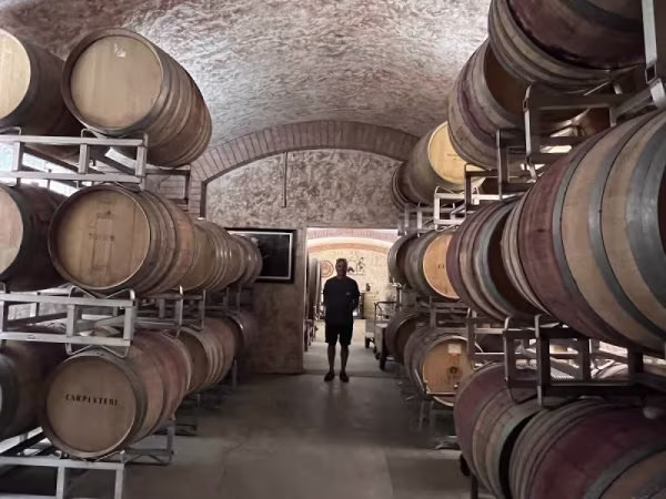 Vignoble Carpinteri