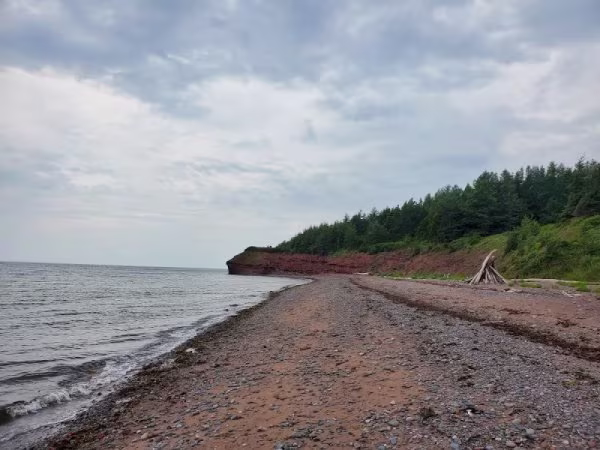 Plage McGraw