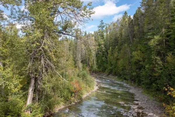 Parc régional de la rivière Mitis