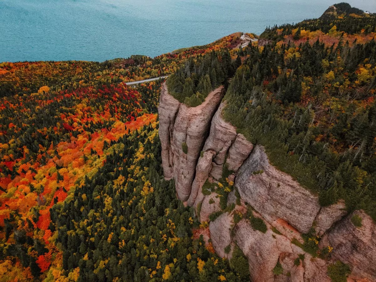 Falaises et forêt aux couleurs d'automne, parc Forillon