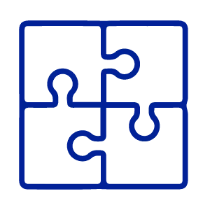 Holistic system solutions icon