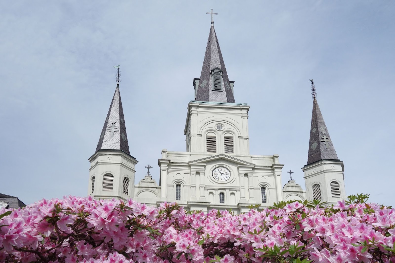 church in spring with blooming lowers in new orleans