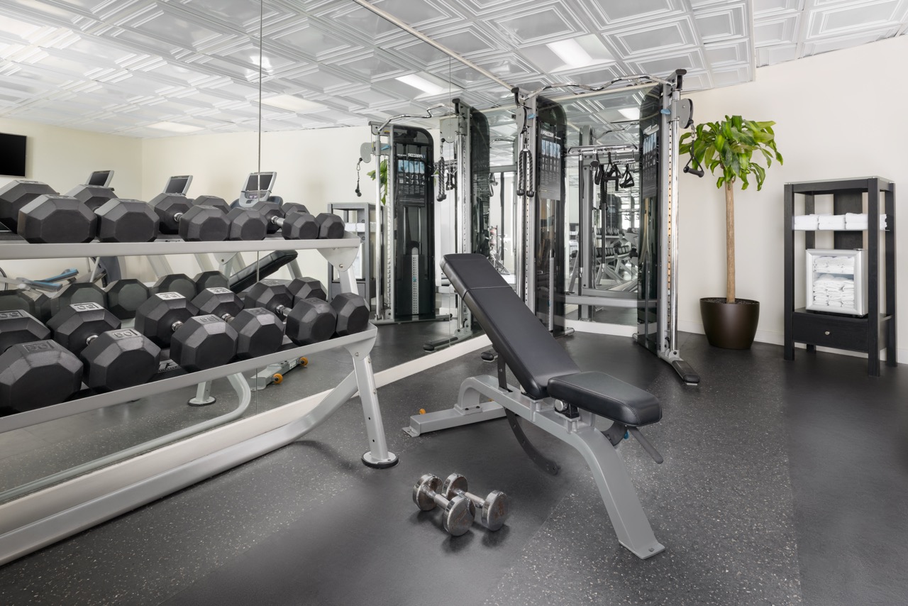 Free weights, bench and exercise machine in hotel gym