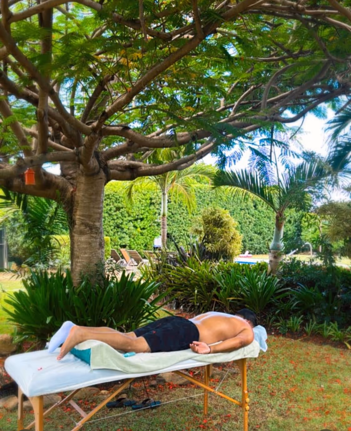 A man lying face down on a massage table outdoors under a large tree surrounded by lush greenery.