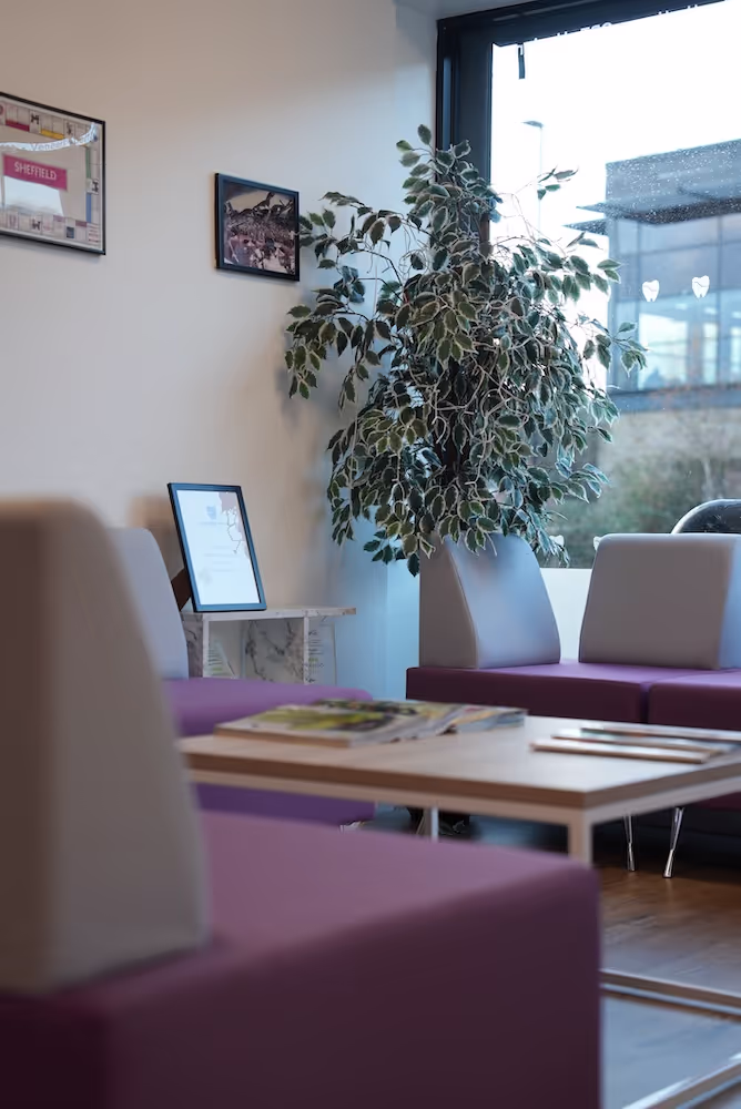 Modern waiting area with purple and gray chairs, a wooden coffee table with magazines, a large leafy plant near a window, and framed pictures on the wall.