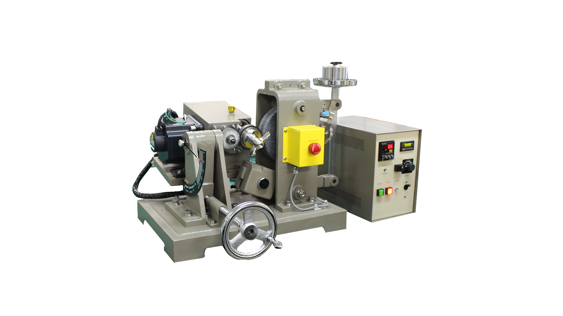 山採りアブラツツジ 油A1 H170cm W90cm 樹木図鑑(アブラツツジ)