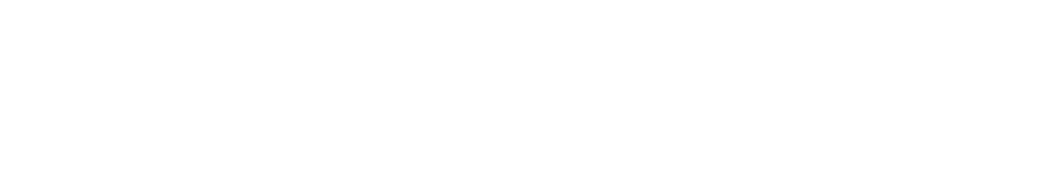 white outpost logo