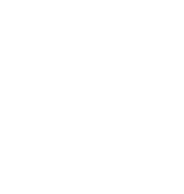 big outpost logo