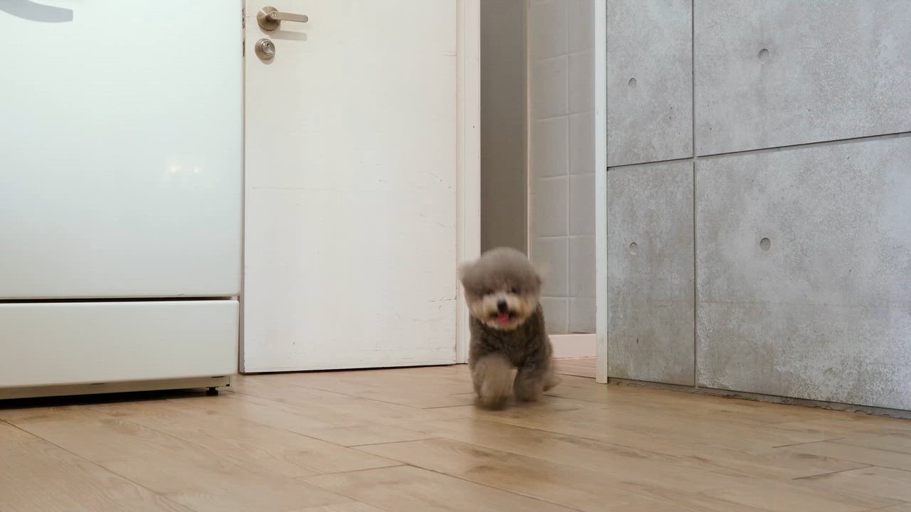 AWP Treasure Hunt T\u0026C_1121_v2.docx, image size:1280x720