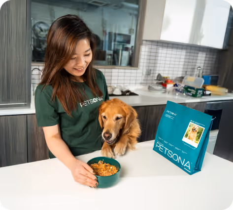 pet shops, furry children, pet dogs, pets, pet products, pet shop, pet shop recommendation, pet care, pet cleaner, pet bath, cat shower liquid, pet cat shower liquid, pet dog shower, recommended for pet bathing, pet cleaning spray, pet harmless cleaner, pet environmental cleaning, pet-friendly cleaner, and pet shower liquid.