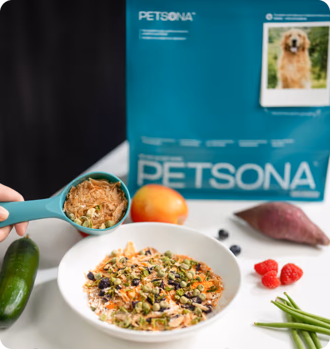pet shops, furry children, pet dogs, pets, pet products, pet shop, pet shop recommendation, pet care, pet cleaner, pet bath, cat shower liquid, pet cat shower liquid, pet dog shower, recommended for pet bathing, pet cleaning spray, pet harmless cleaner, pet environmental cleaning, pet-friendly cleaner, and pet shower liquid.