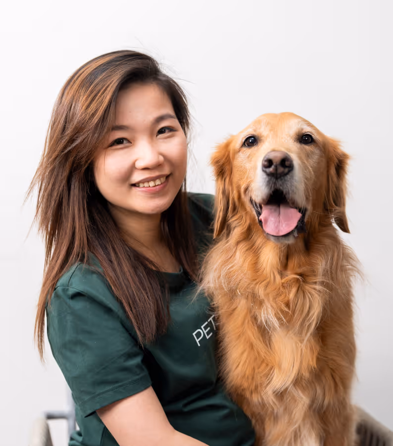 pet shops, furry children, pet dogs, pets, pet products, pet shop, pet shop recommendation, pet care, pet cleaner, pet bath, cat shower liquid, pet cat shower liquid, pet dog shower, recommended for pet bathing, pet cleaning spray, pet harmless cleaner, pet environmental cleaning, pet-friendly cleaner, and pet shower liquid.