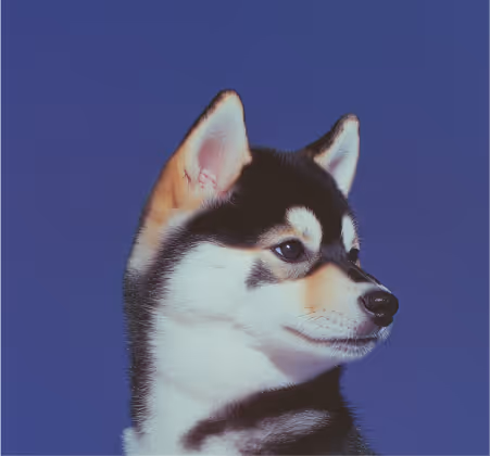 pet shops, furry children, pet dogs, pets, pet products, pet shop, pet shop recommendation, pet care, pet cleaner, pet bath, cat shower liquid, pet cat shower liquid, pet dog shower, recommended for pet bathing, pet cleaning spray, pet harmless cleaner, pet environmental cleaning, pet-friendly cleaner, and pet shower liquid.
