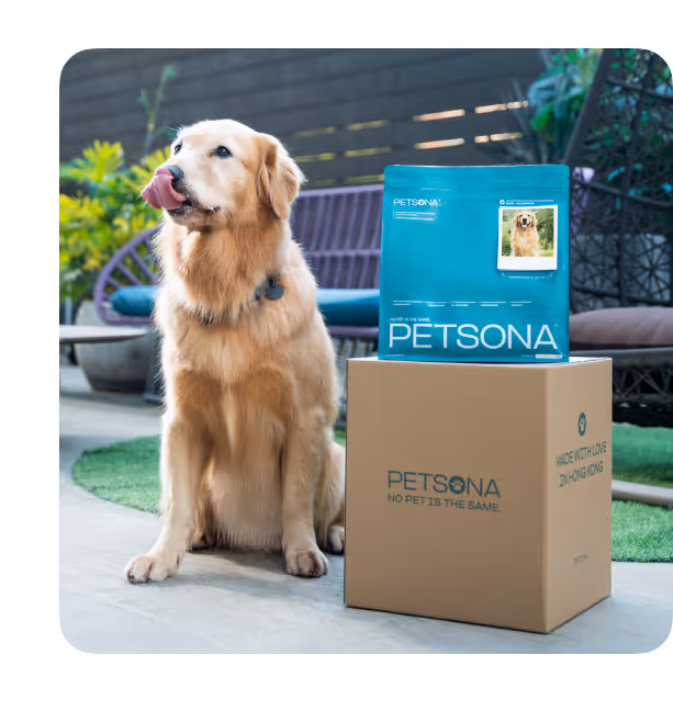 pet shops, furry children, pet dogs, pets, pet products, pet shop, pet shop recommendation, pet care, pet cleaner, pet bath, cat shower liquid, pet cat shower liquid, pet dog shower, recommended for pet bathing, pet cleaning spray, pet harmless cleaner, pet environmental cleaning, pet-friendly cleaner, and pet shower liquid.