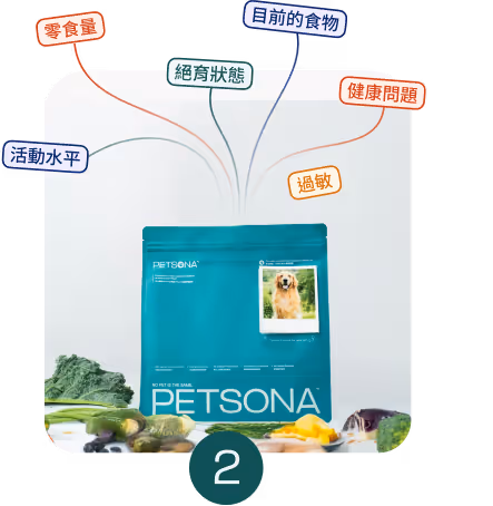 pet shops, furry children, pet dogs, pets, pet products, pet shop, pet shop recommendation, pet care, pet cleaner, pet bath, cat shower liquid, pet cat shower liquid, pet dog shower, recommended for pet bathing, pet cleaning spray, pet harmless cleaner, pet environmental cleaning, pet-friendly cleaner, and pet shower liquid.