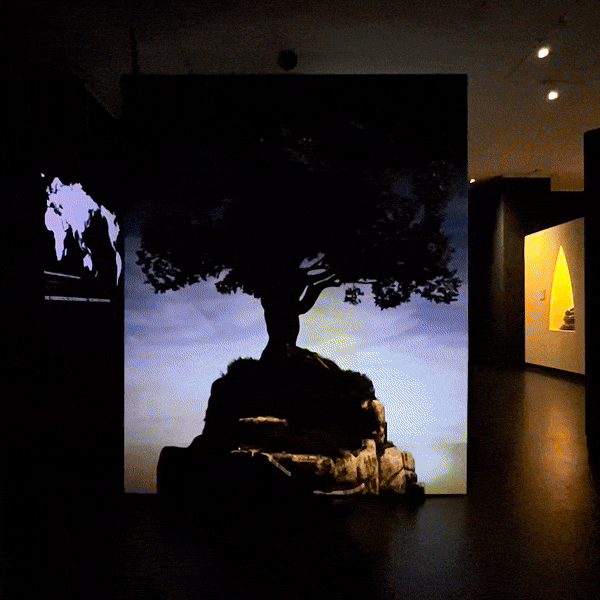 3D Animation des Bodhi-Baums