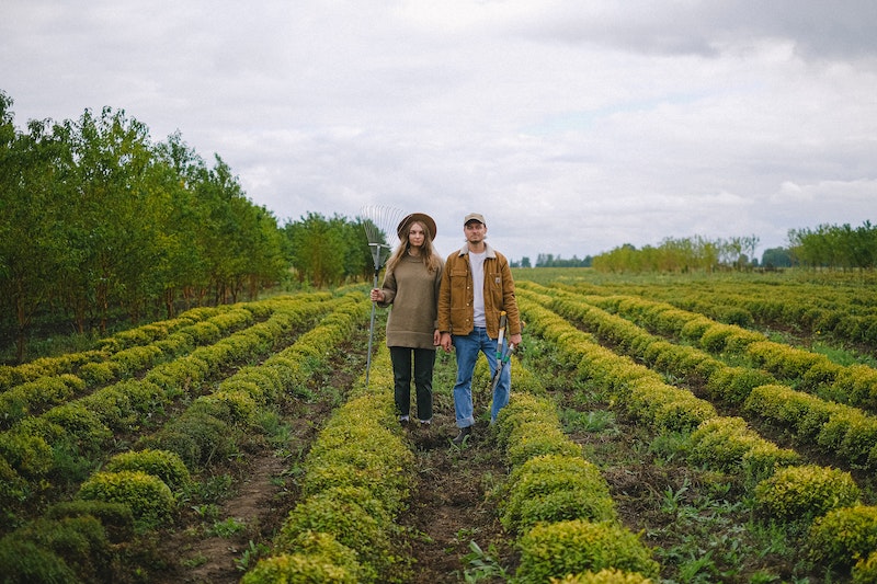 A couple are standing in the farm 