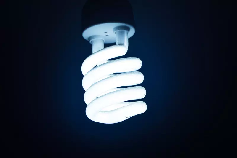 Bulb is shown on the picture