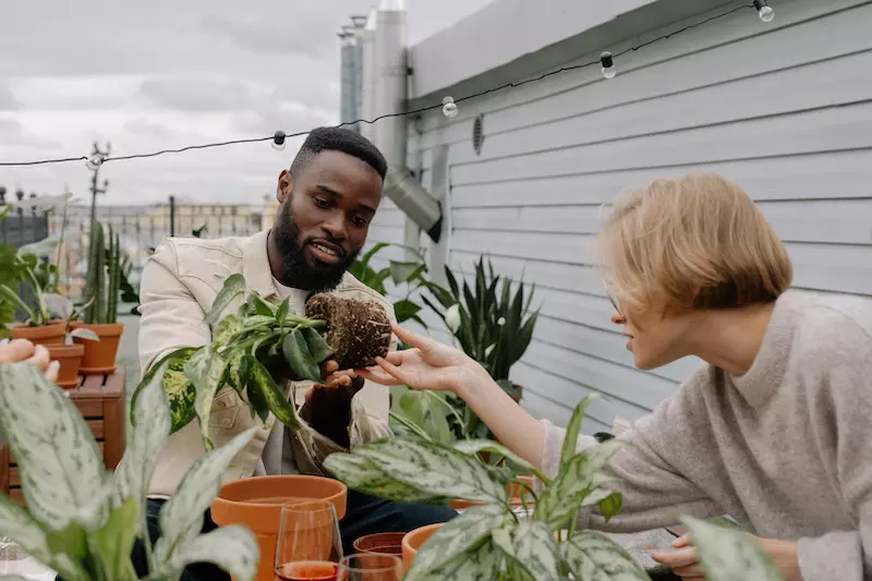 A man and women is looking at the soil of the plant