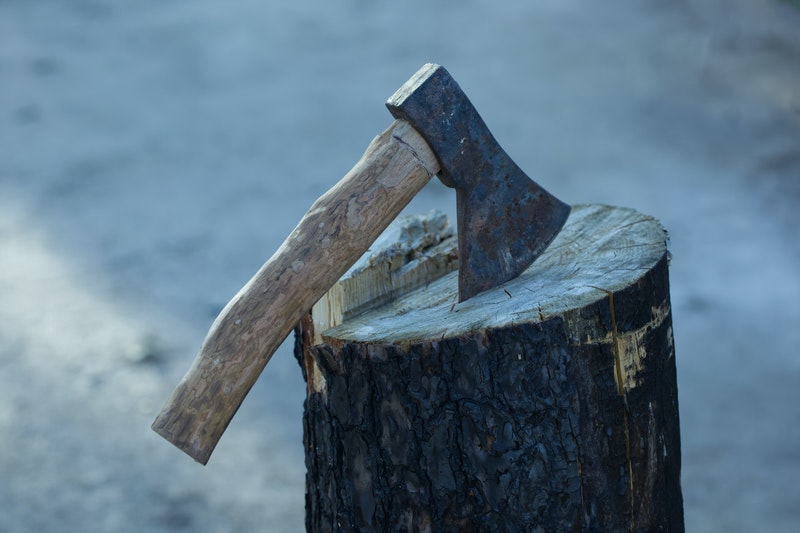 Axe is placed on the tree.